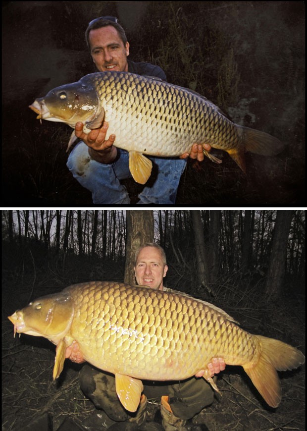 Acima, foto de 1999, da primeira vez em que Tim Cosens pescou a carpa. Abaixo, a foto mais recente, com o peixe que ele afirma ser o mesmo que pescou 14 anos atrás (Foto: BNPS/The Grosby Group)