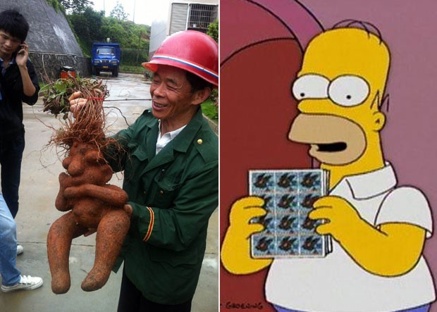 Raiz foii apelidada de 'Homer Simpson' por sua semelhança com o personagem animado (Foto: Imaginechina)