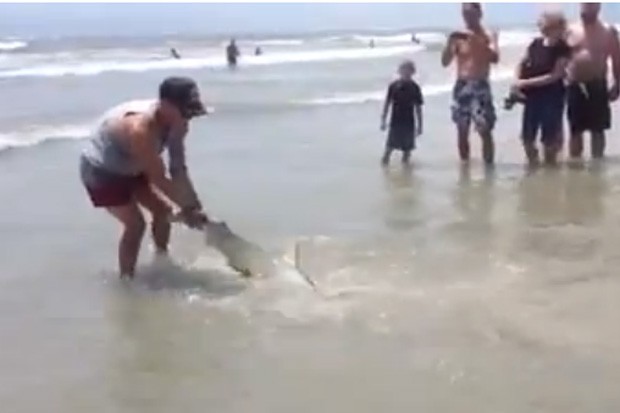 O salva-vidas Zach Cooney agarrou o animal pela cauda e o levou em segurança até o mar (Foto: Reprodução/YouTube/Sam Cappadonia)