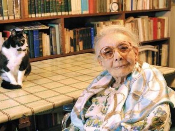Evento literário irá homenagear a psiquiatra alagoana Nise da Silveira e o cantor Raimundo FagnerIlustração